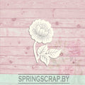 Chipboard Flor