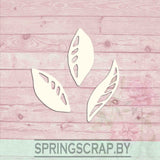 Chipboard Conjunto De Petalos