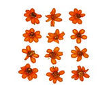 Flores Secas