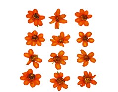 Flores Secas