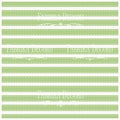 Vellum Verde Líneas Blancas