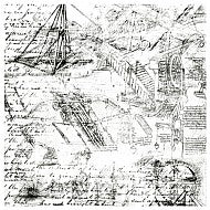 Vellum Blanco Y Negro