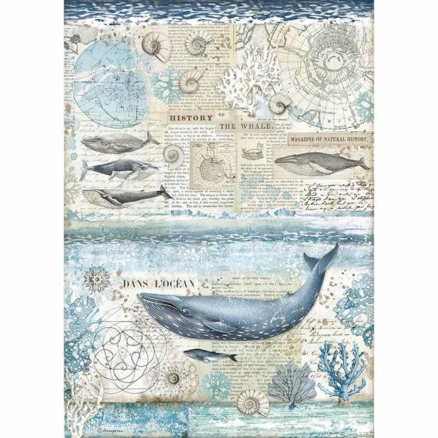 Papel De Arroz Ballena Arctic Antarctic Din-A3