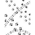 Carpeta Embossing Pisadas De Animales