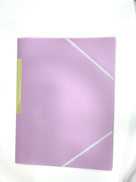 Carpeta Morada
