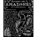 Stencil  Tucan Amazonia 20X25