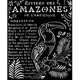 Stencil  Tucan Amazonia 20X25