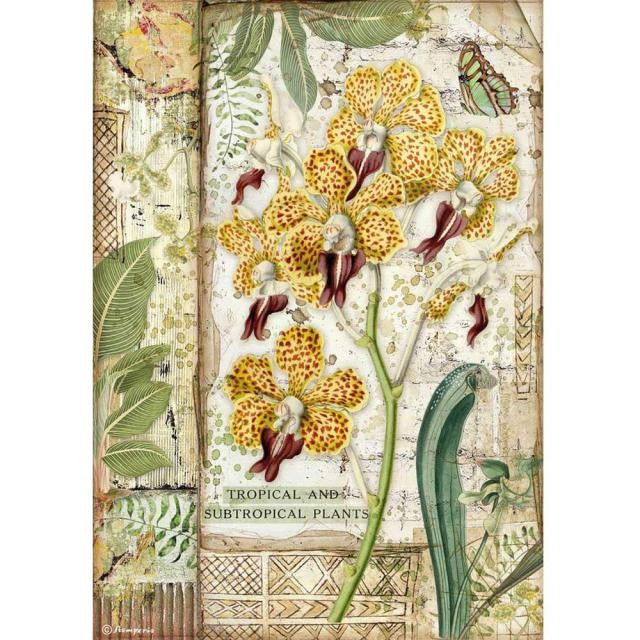Papel De Arroz Orquídea Amazonia Din-A4