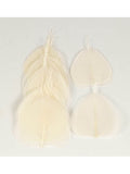 Hoja Skeleton Blanco Marfil 10/12 Cm