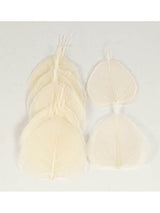 Hoja Skeleton Blanco Marfil 10/12 Cm