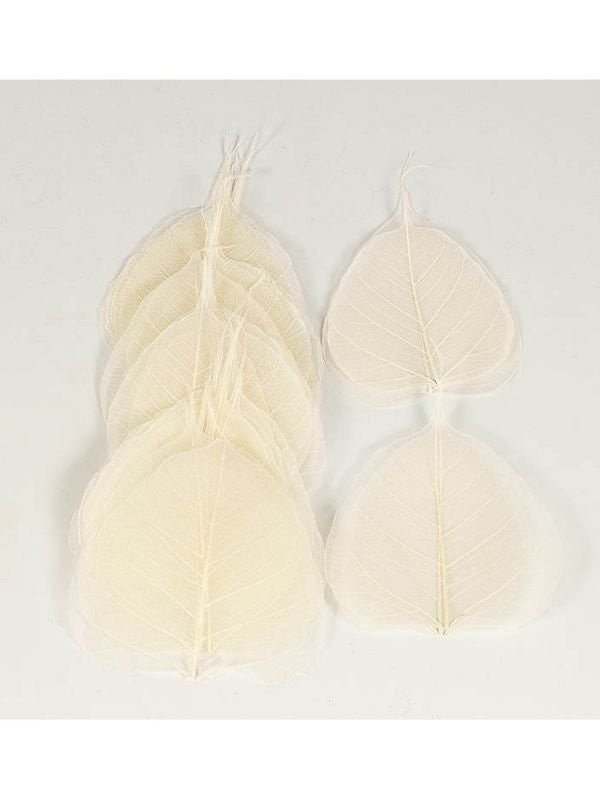 Hoja Skeleton Blanco Marfil 10/12 Cm