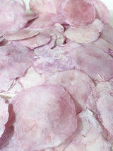 Capiz Shell Lila