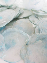 Capiz Shell Ø5/8Cm Color Turquesa