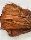 Hoja De Palmera Natural 4 Unidades Aprox