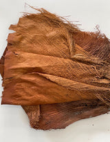 Hoja De Palmera Natural 4 Unidades Aprox