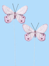 Pack Mariposas Rosa