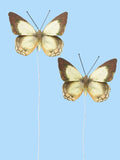Pack Mariposas Verde Y Marrón