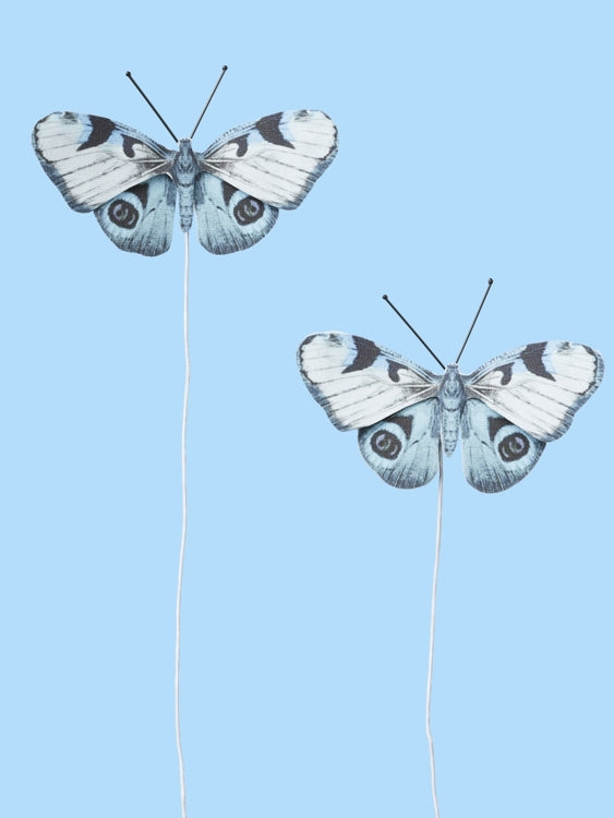 Pack Mariposas Azul