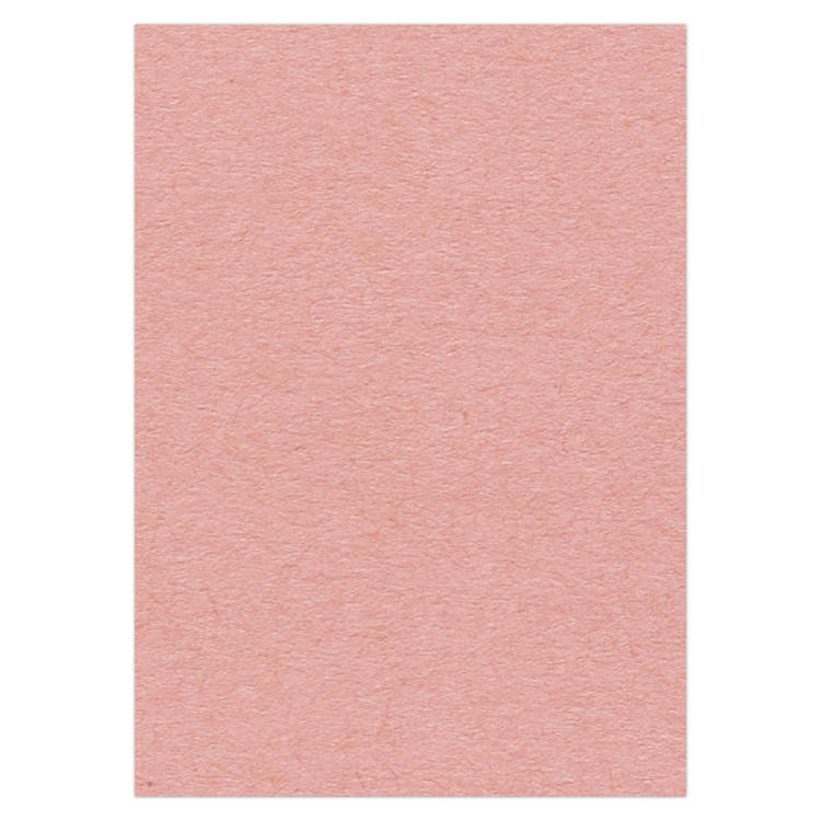 Cartulina Salmón De 270 Gr. Din-A4