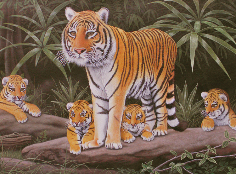 Kit Pintar Por Números Tigres