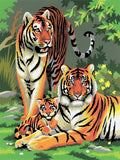 Kit Pintar Por Números Tigre