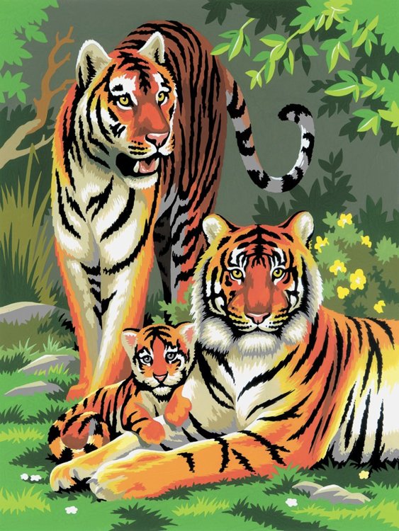 Kit Pintar Por Números Tigre