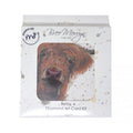 Kit Tarjeta Con Diamantes Betsy
