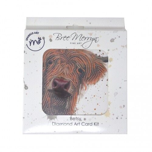 Kit Tarjeta Con Diamantes Betsy