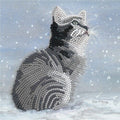 Kit Tarjeta Con Diamantes Gato Gris