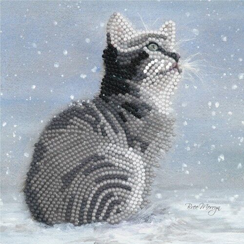 Kit Tarjeta Con Diamantes Gato Gris