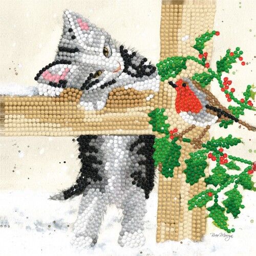 Kit Tarjeta Con Diamantes Gato