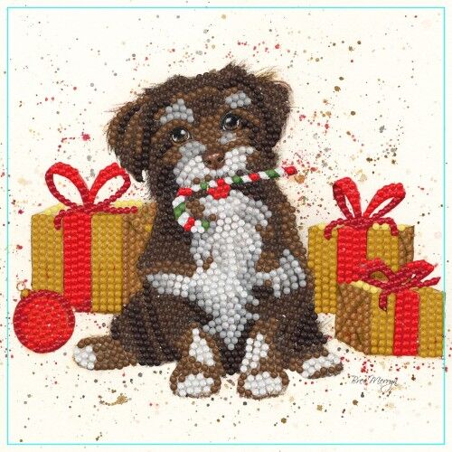 Kit Tarjeta Con Diamantes Perro