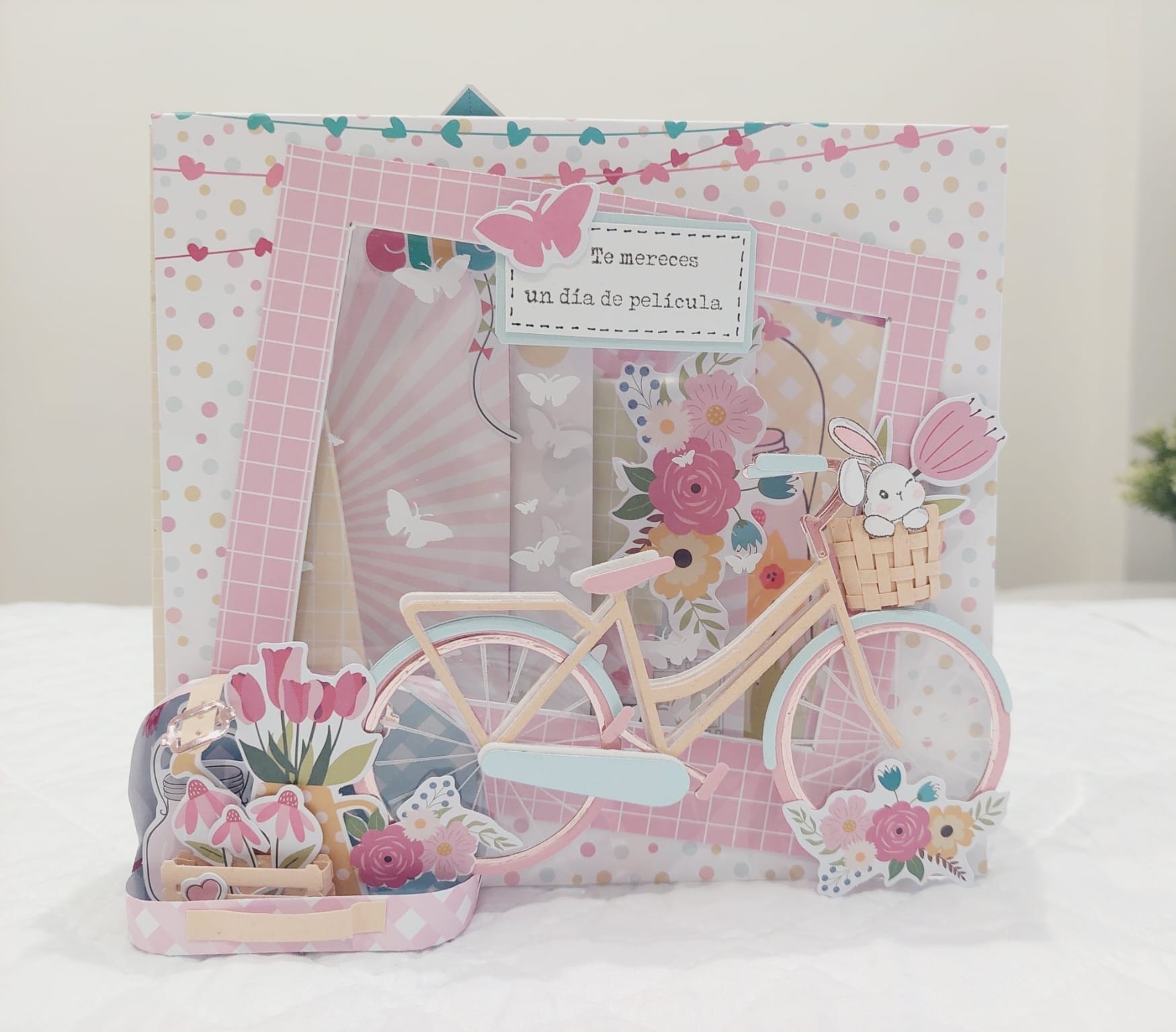 Kit Albúm Alejandra Valencia Colección Vida