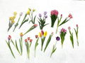Pegatinas Acetato Flores