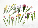Pegatinas Acetato Flores