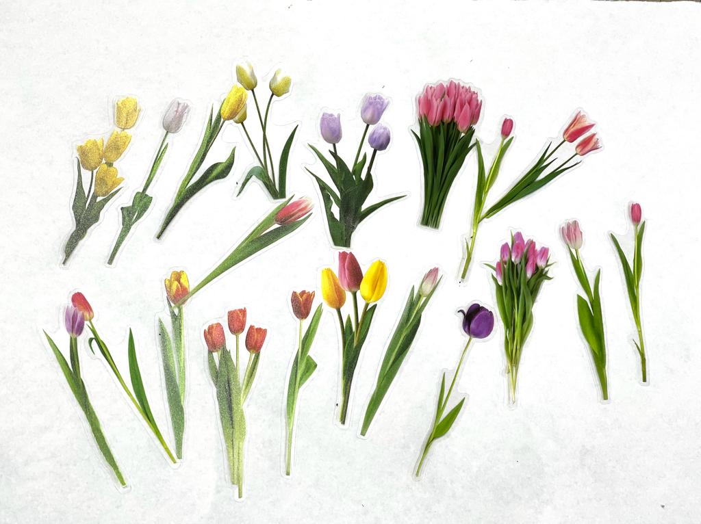 Pegatinas Acetato Flores