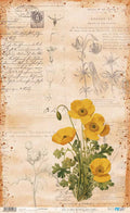Papel de Arroz 57x33 Cm Botanical Book Flower I