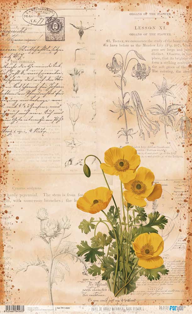 Papel de Arroz 57x33 Cm Botanical Book Flower I