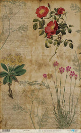 Papel De Arroz 54x33 Cm Flower III