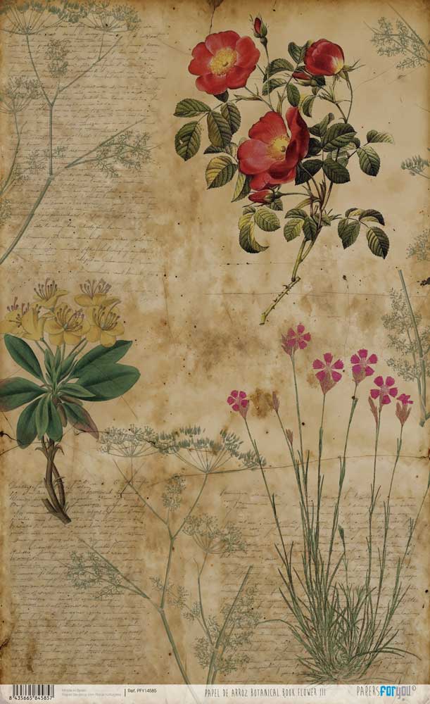 Papel De Arroz 54x33 Cm Flower III