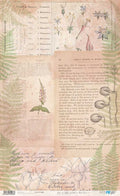 Papel De Arroz 54x33 Cm Botanical Book II