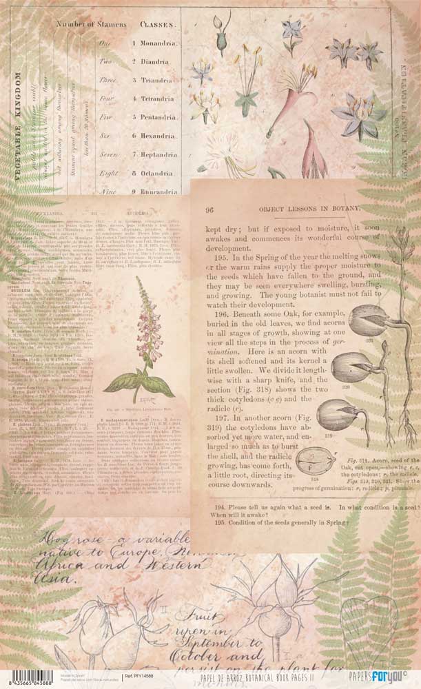 Papel De Arroz 54x33 Cm Botanical Book II