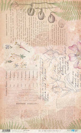 Papel De Arroz 54x33 Cm Botanical Book III