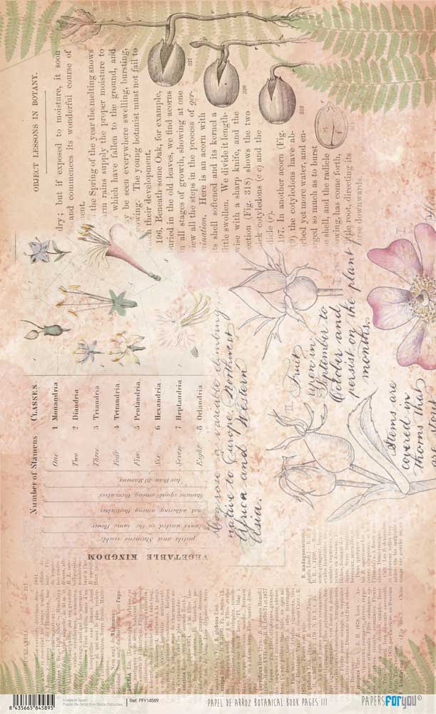 Papel De Arroz 54x33 Cm Botanical Book III