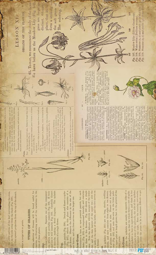 Papel De Arroz 54x33 Cm Botanical Book IV