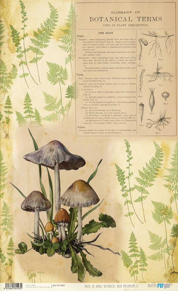 Papel De Arroz 54x33 Cm Mushrooms II
