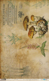Papel De Arroz 54x33 Cm Mushrooms III
