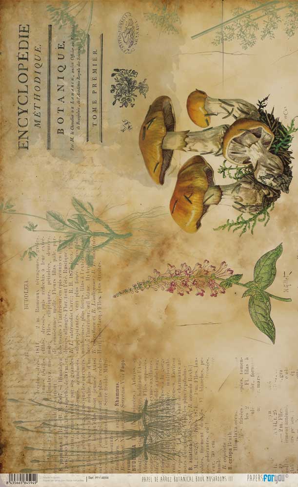 Papel De Arroz 54x33 Cm Mushrooms III