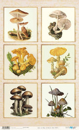 Papel De Arroz 54x33 Cm Frames I