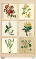 Papel De Arroz 54x33 Cm Frames II